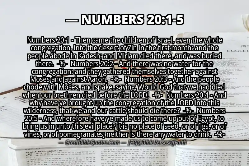 Image for NUMBERS 20:1-5 Bible verse