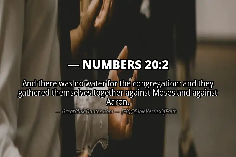 NUMBERS 20:2 Verse Image