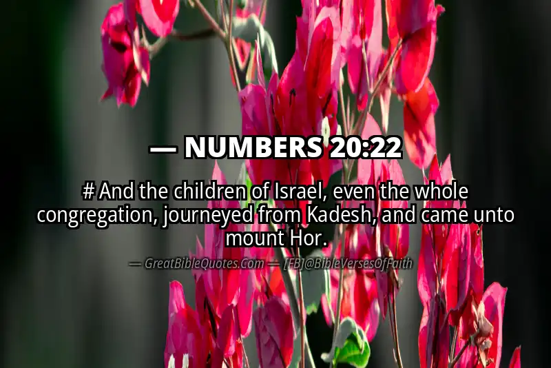 NUMBERS 20:22 Verse