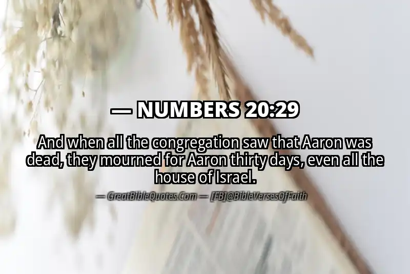 NUMBERS 20:29 Verse