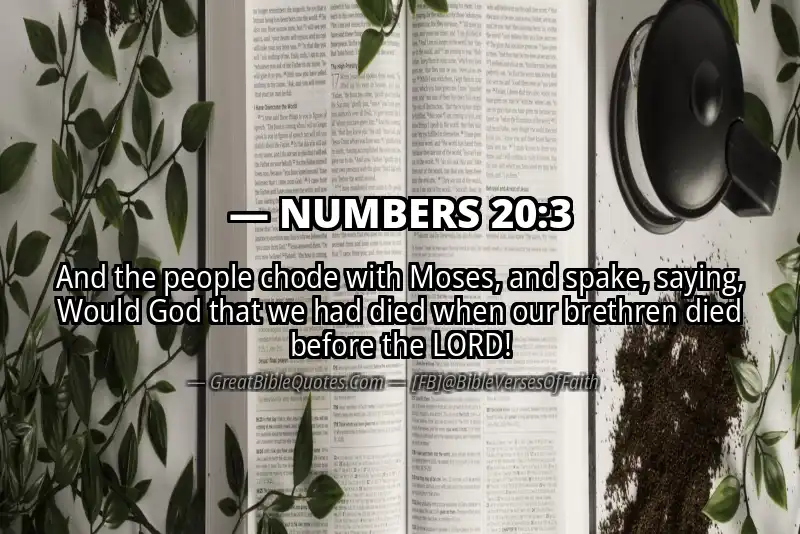 NUMBERS 20:3 Verse