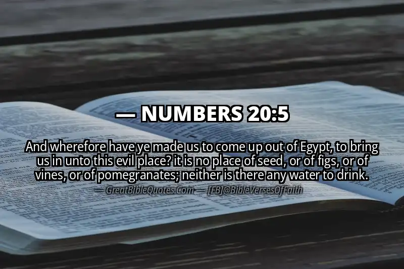 NUMBERS 20:5 Verse