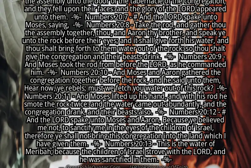 Image for NUMBERS 20:6-13 Bible verse