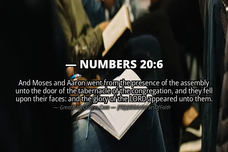 NUMBERS 20:6 Verse