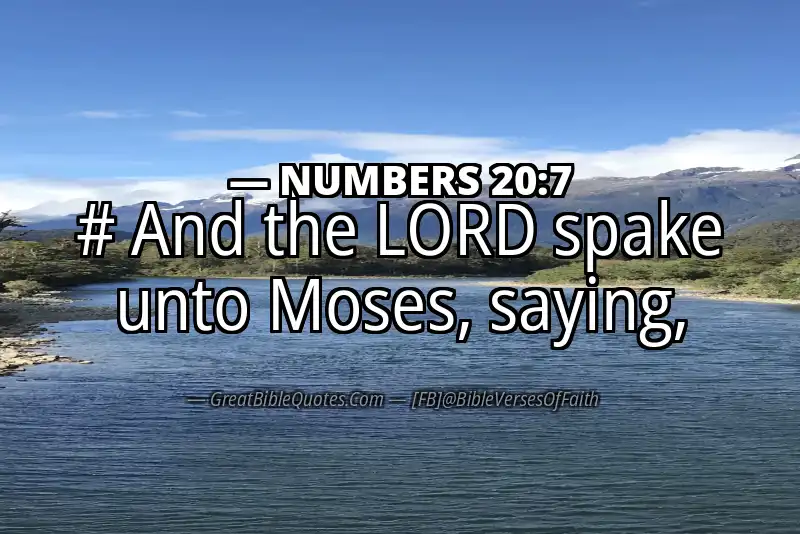 NUMBERS 20:7 Verse Image