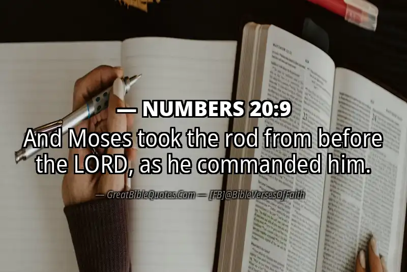 NUMBERS 20:9 Verse