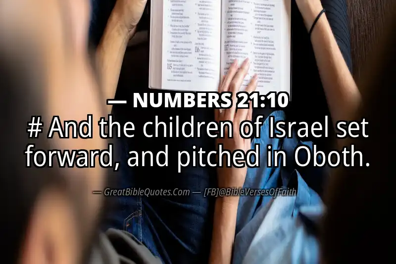 NUMBERS 21:10 Verse