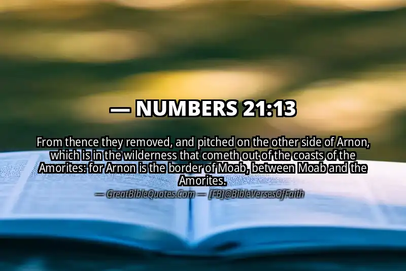 NUMBERS 21:13 Verse