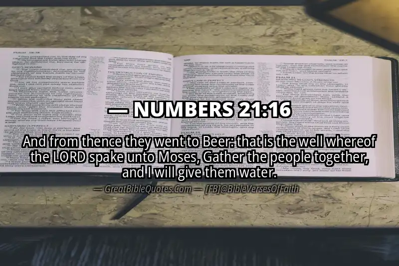 NUMBERS 21:16 Verse