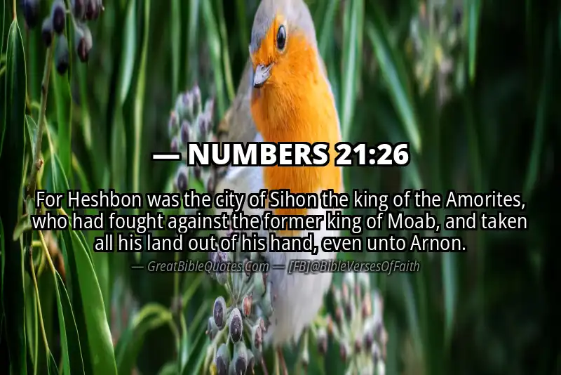 NUMBERS 21:26 Verse