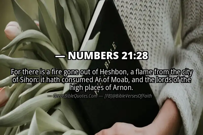NUMBERS 21:28 Verse