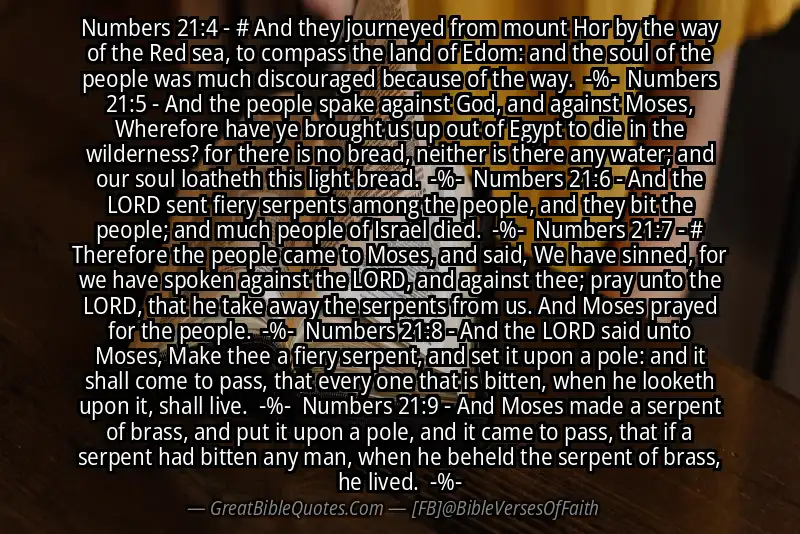 Image for NUMBERS 21:4-9 Bible verse