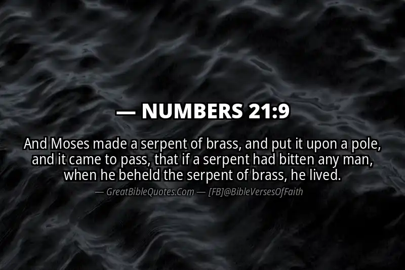 NUMBERS 21:9 Verse