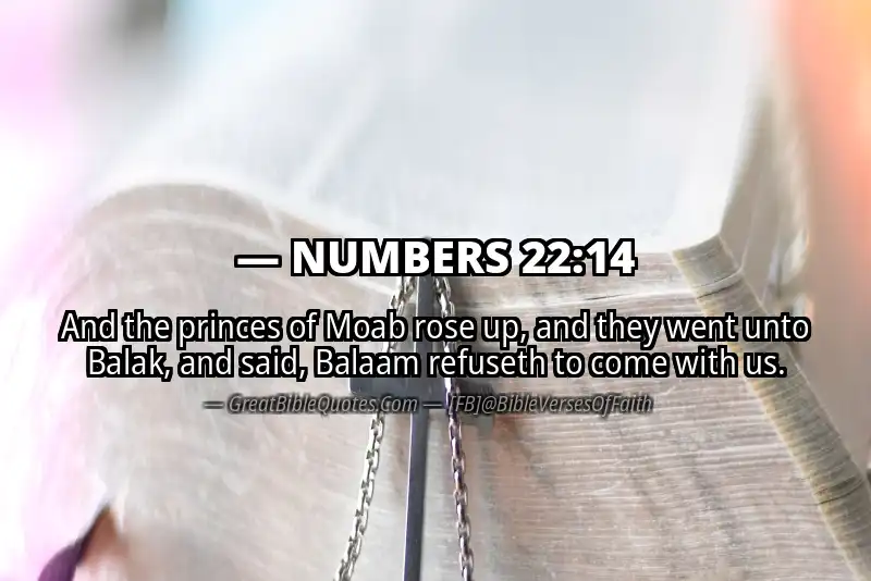 NUMBERS 22:14 Verse