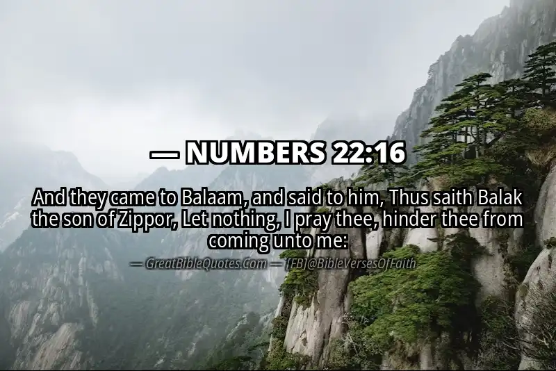 NUMBERS 22:16 Verse