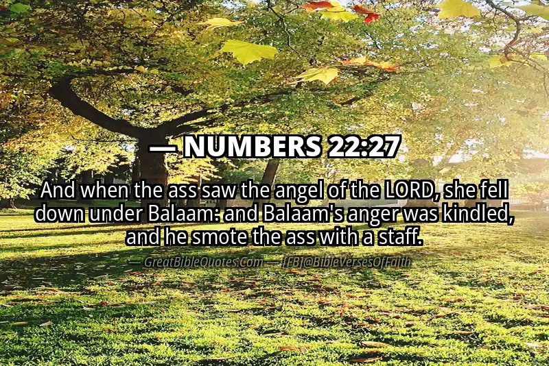 NUMBERS 22:27 Verse
