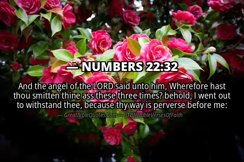 NUMBERS 22:32 Verse