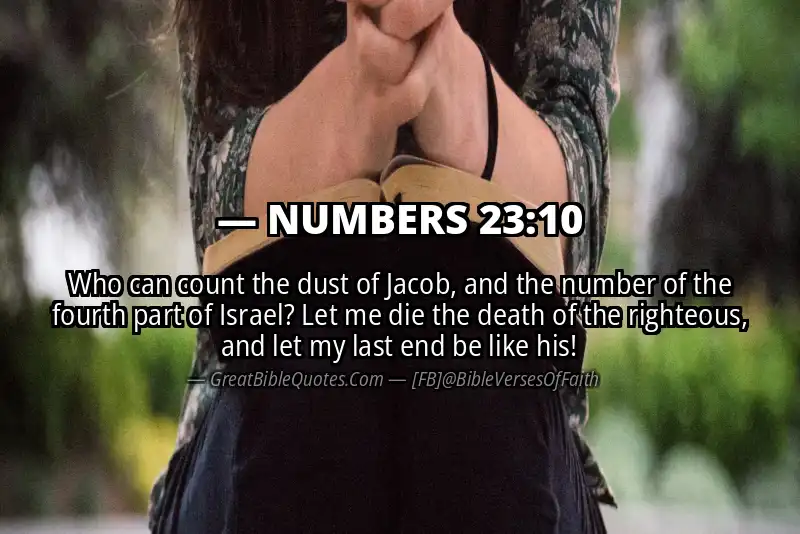NUMBERS 23:10 Verse