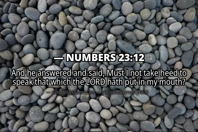 NUMBERS 23:12 Verse