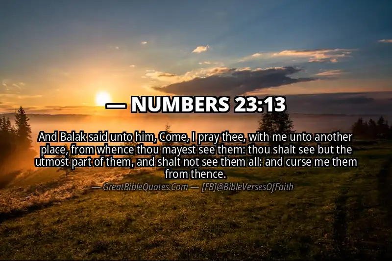 NUMBERS 23:13 Verse