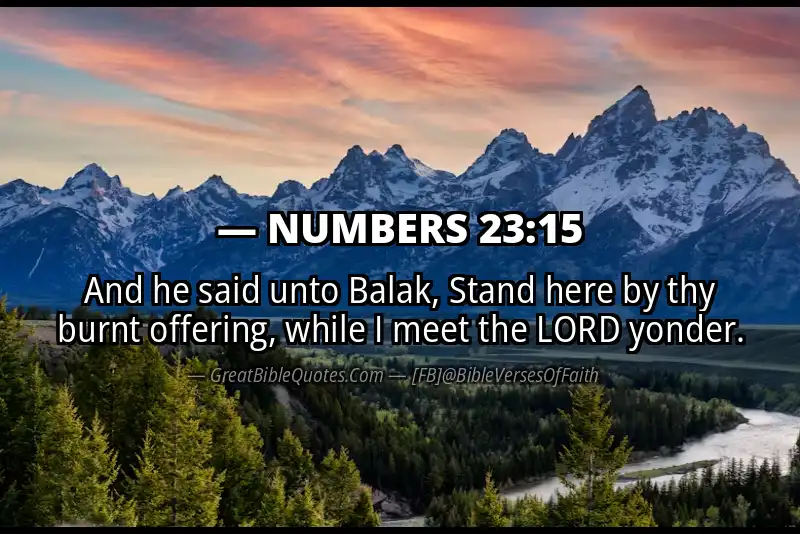 NUMBERS 23:15 Verse