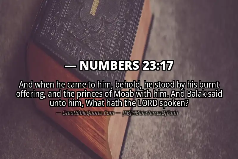 NUMBERS 23:17 Verse