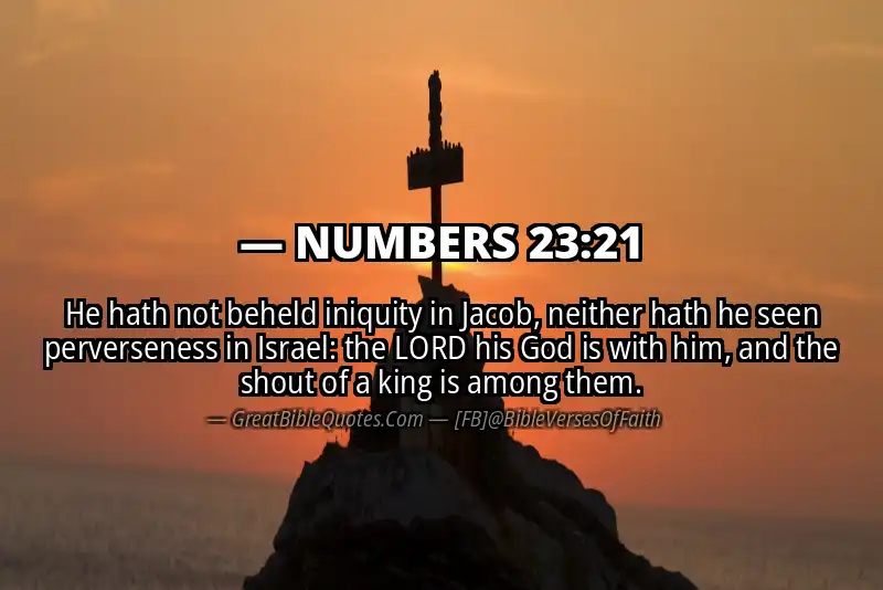 NUMBERS 23:21 Verse
