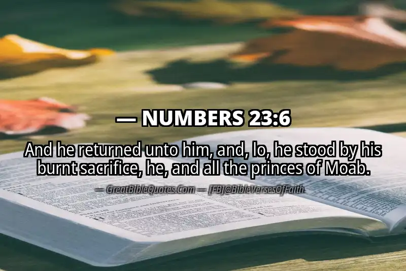 NUMBERS 23:6 Verse