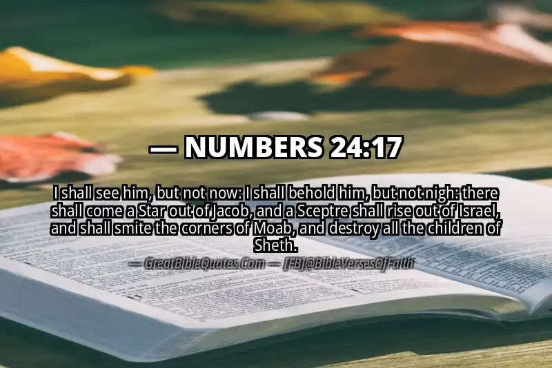 NUMBERS 24:17 Verse