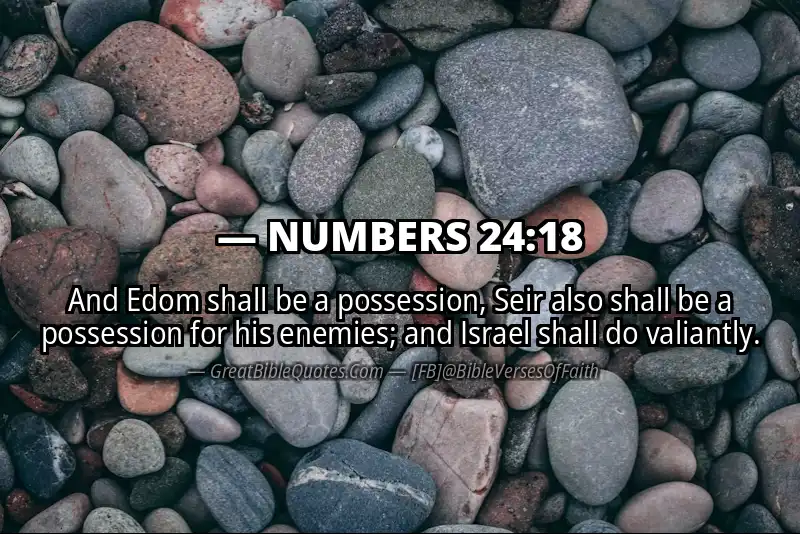 NUMBERS 24:18 Verse