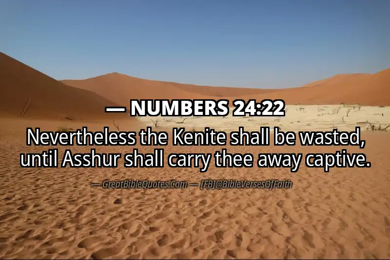 NUMBERS 24:22 Verse