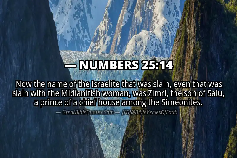 NUMBERS 25:14 Verse Image