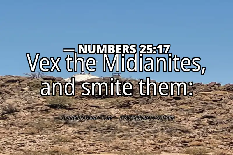 NUMBERS 25:17 Verse