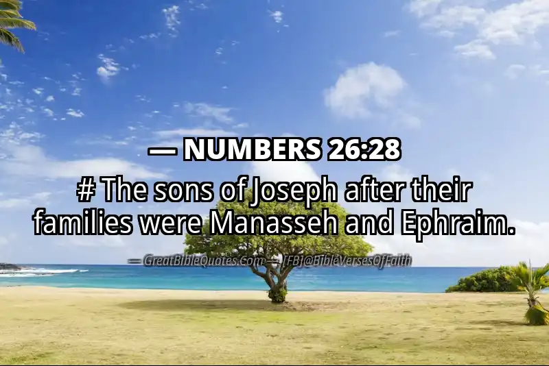 NUMBERS 26:28 Verse Image