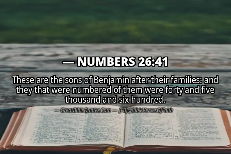 NUMBERS 26:41 Verse