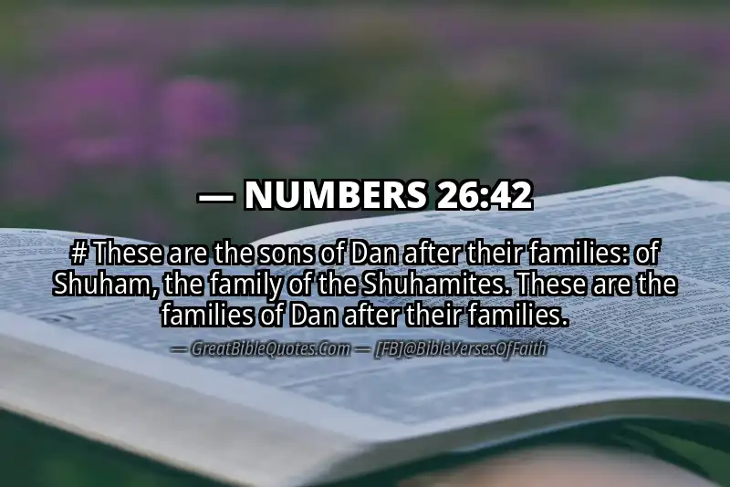 NUMBERS 26:42 Verse