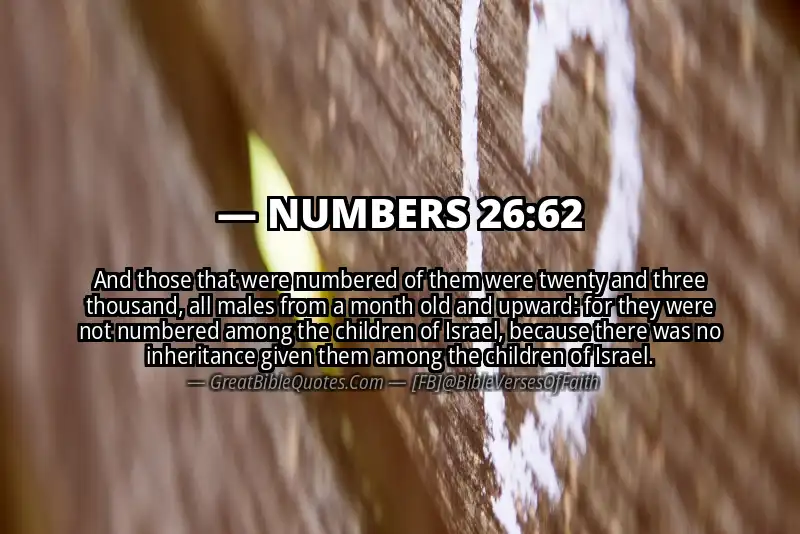 NUMBERS 26:62 Verse