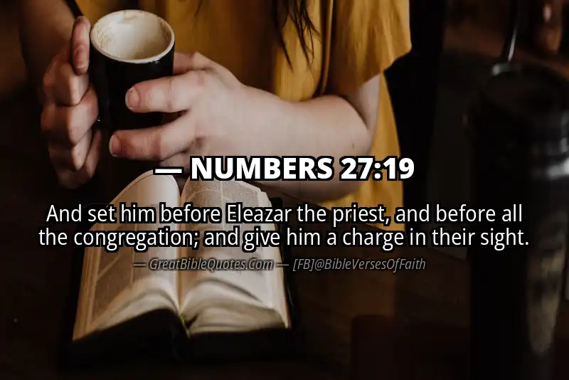 NUMBERS 27:19 Verse
