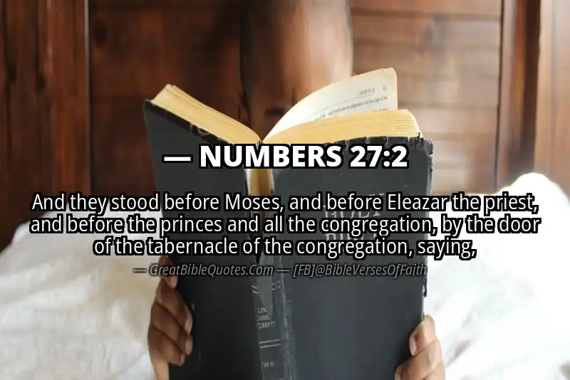 NUMBERS 27:2 Verse Image