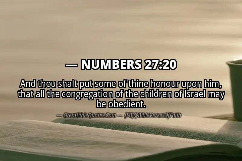 NUMBERS 27:20 Verse Image