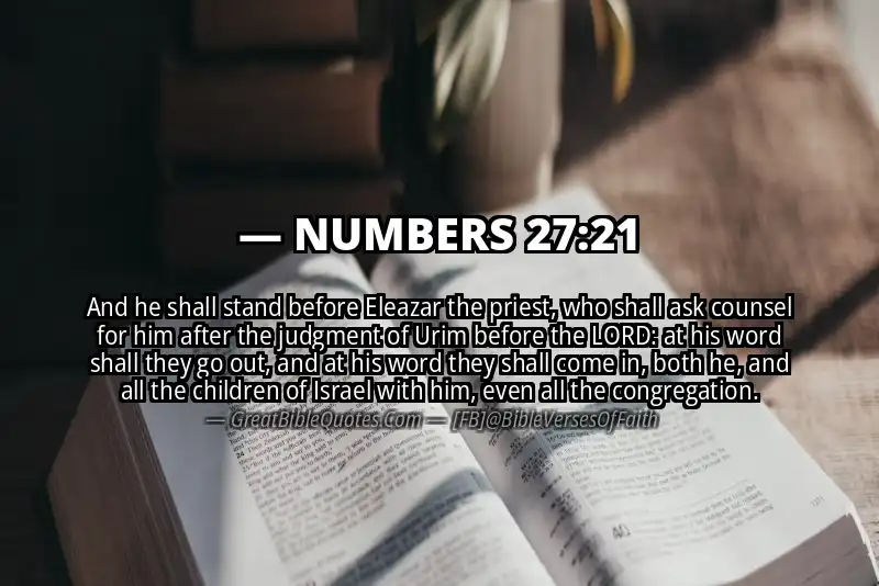 NUMBERS 27:21 Verse