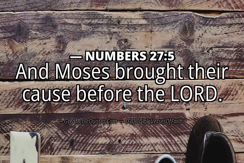 NUMBERS 27:5 Verse