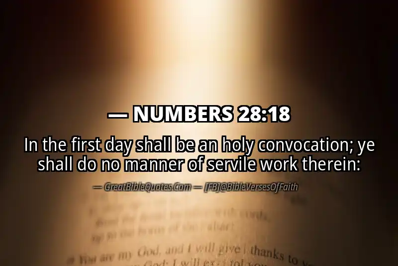 NUMBERS 28:18 Verse