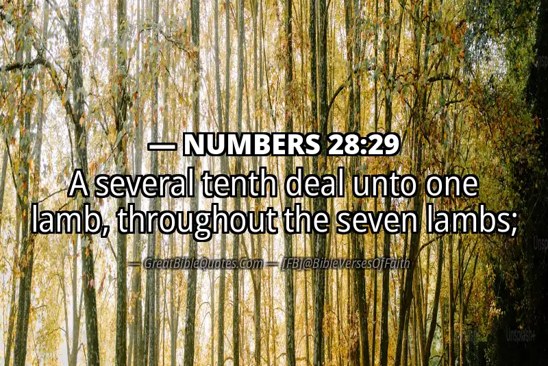 NUMBERS 28:29 Verse