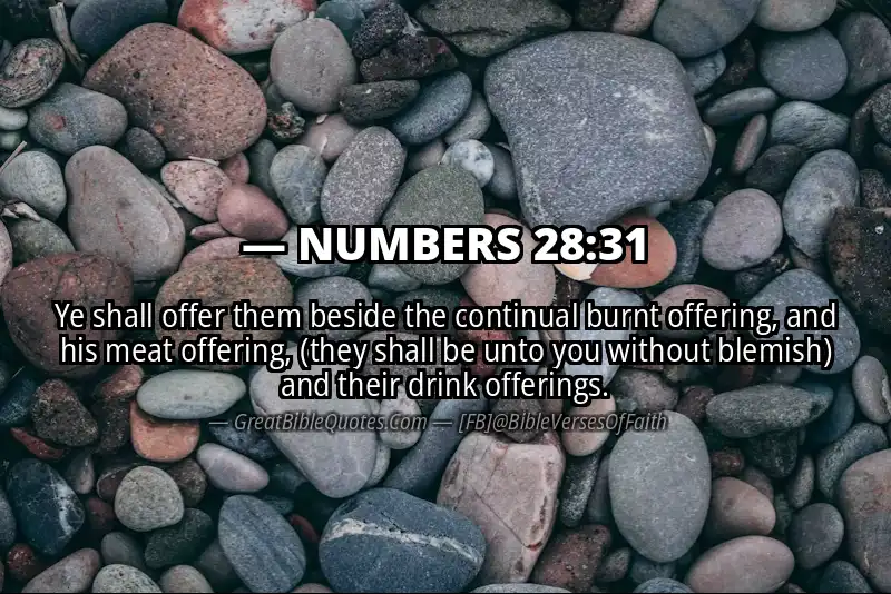 NUMBERS 28:31 Verse