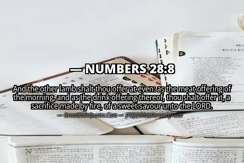 NUMBERS 28:8 Verse