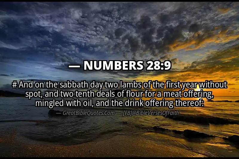 NUMBERS 28:9 Verse