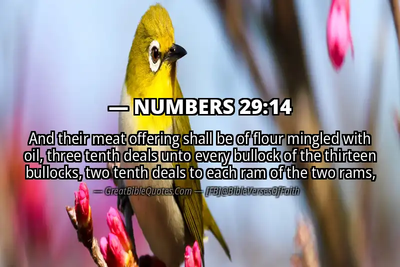 NUMBERS 29:14 Verse