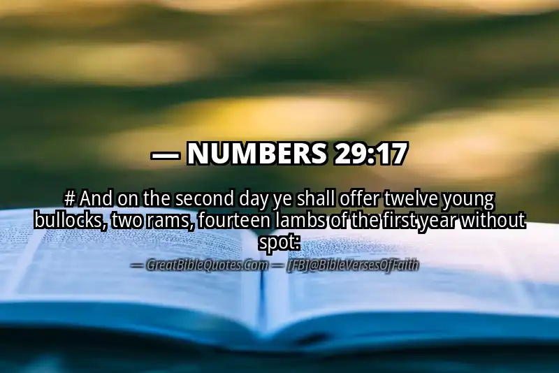 NUMBERS 29:17 Verse