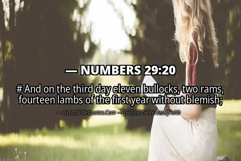 NUMBERS 29:20 Verse